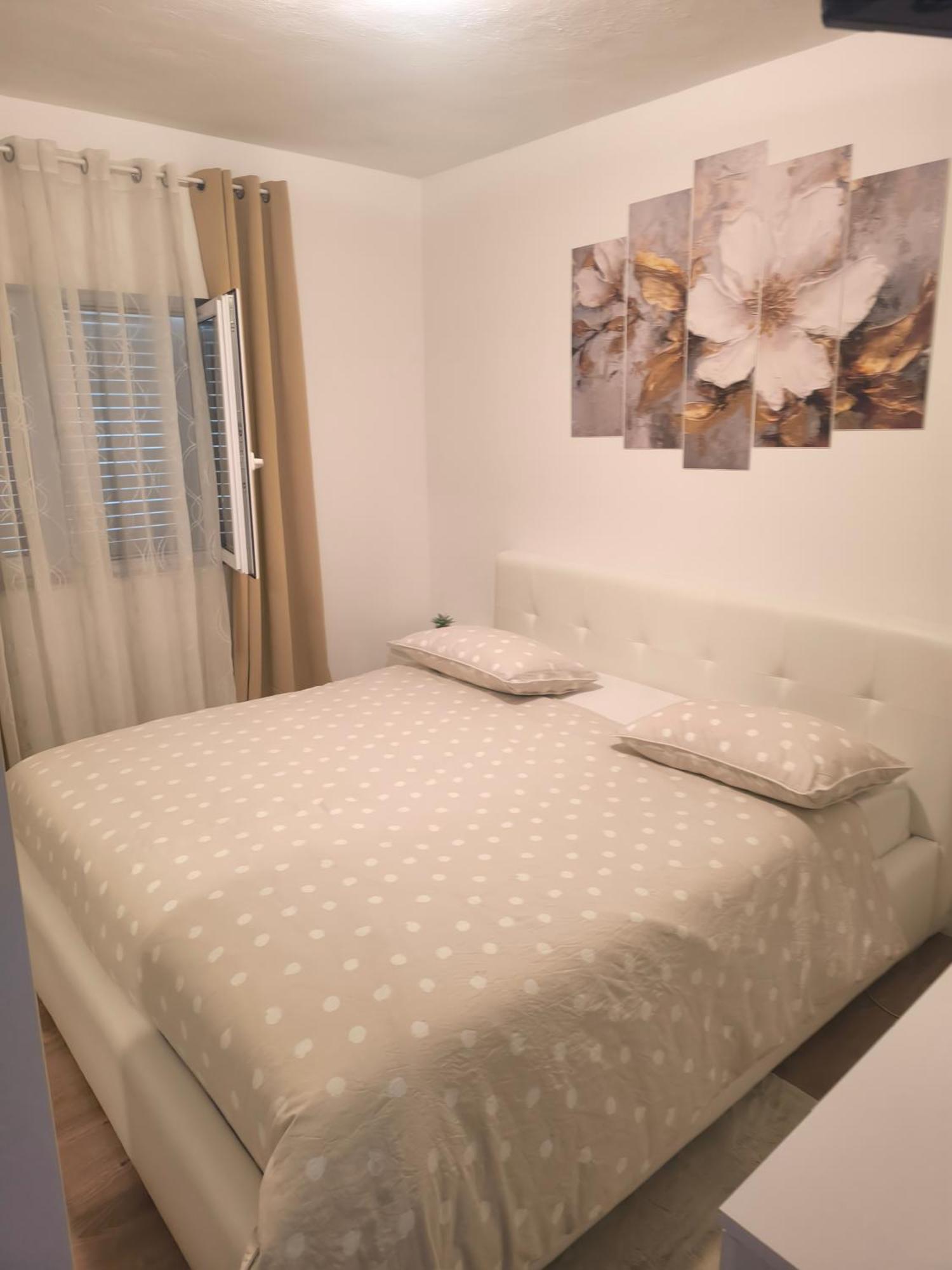 Apartman Rex Svinisce Стая снимка
